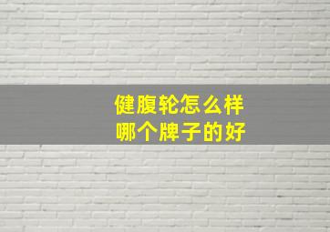 健腹轮怎么样 哪个牌子的好